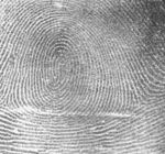 First Fingerprint Used